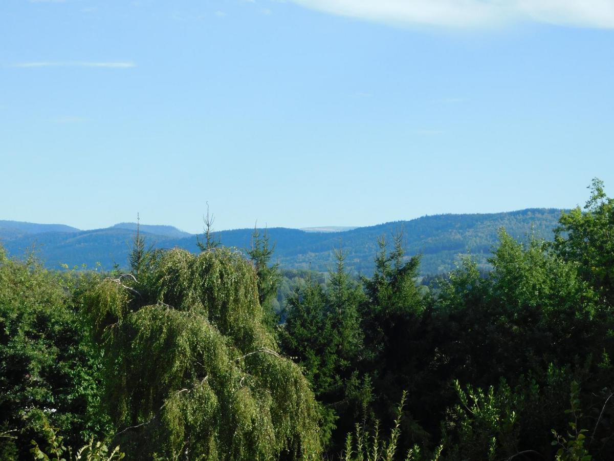 L'Amandaure Bed and Breakfast Saulcy-sur-Meurthe Εξωτερικό φωτογραφία