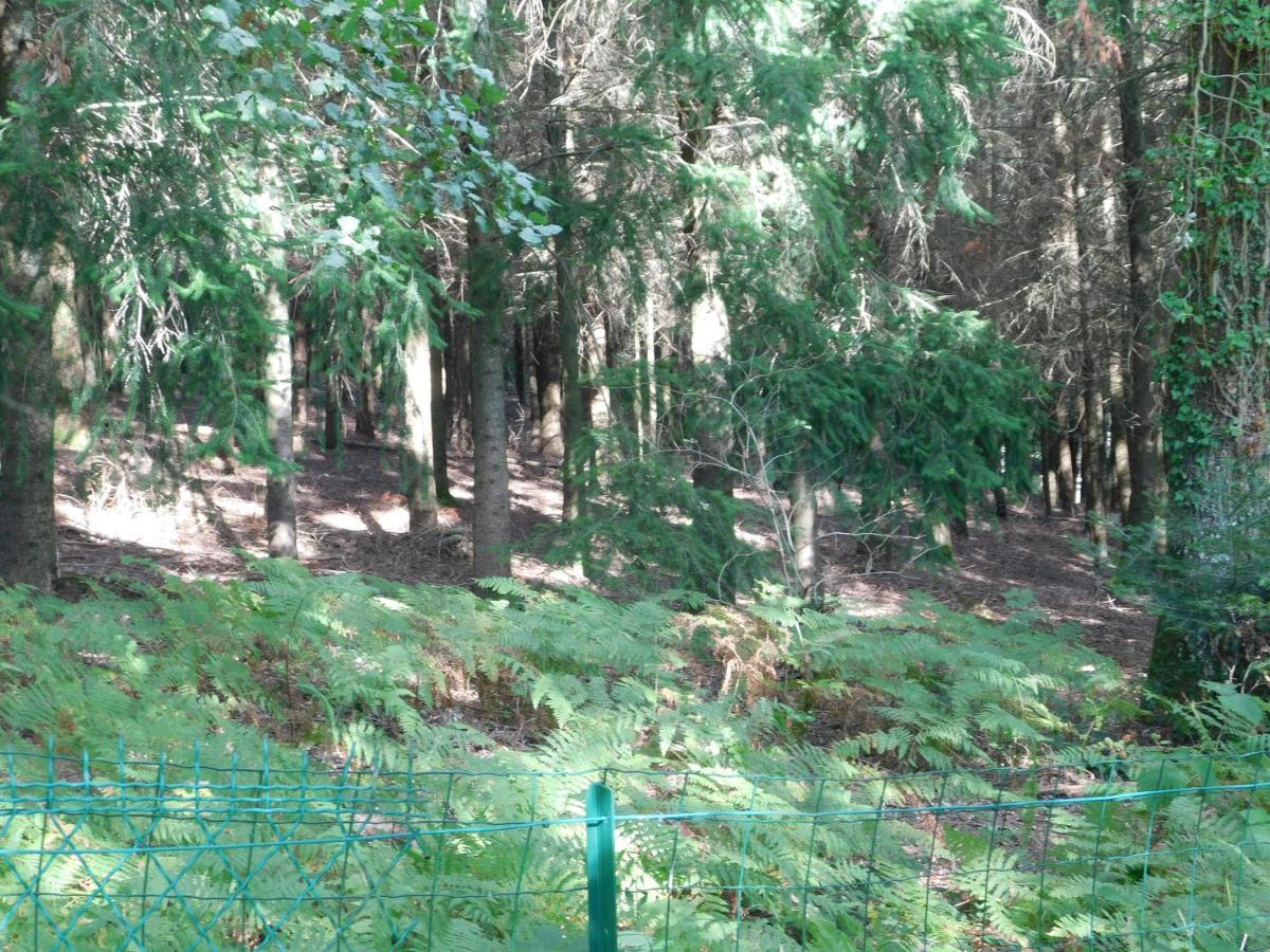 L'Amandaure Bed and Breakfast Saulcy-sur-Meurthe Εξωτερικό φωτογραφία