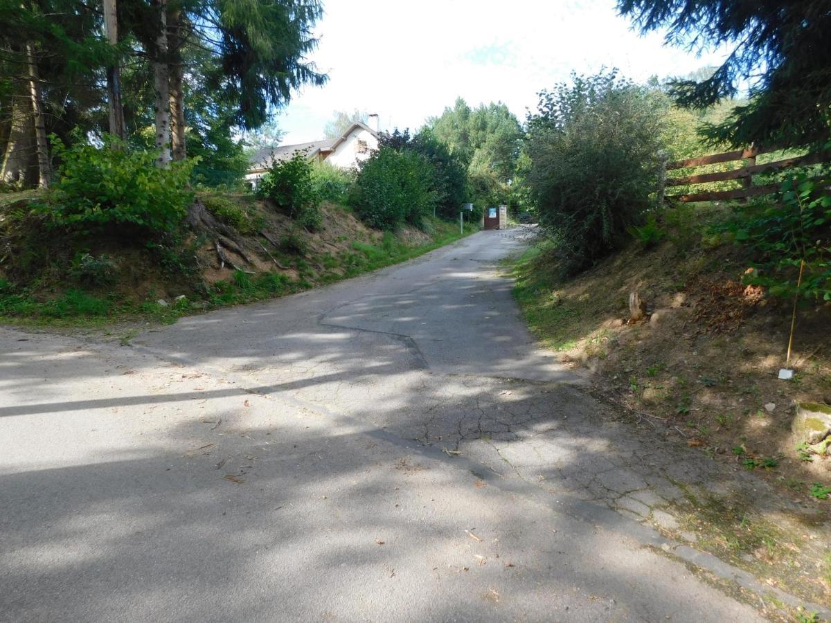 L'Amandaure Bed and Breakfast Saulcy-sur-Meurthe Εξωτερικό φωτογραφία